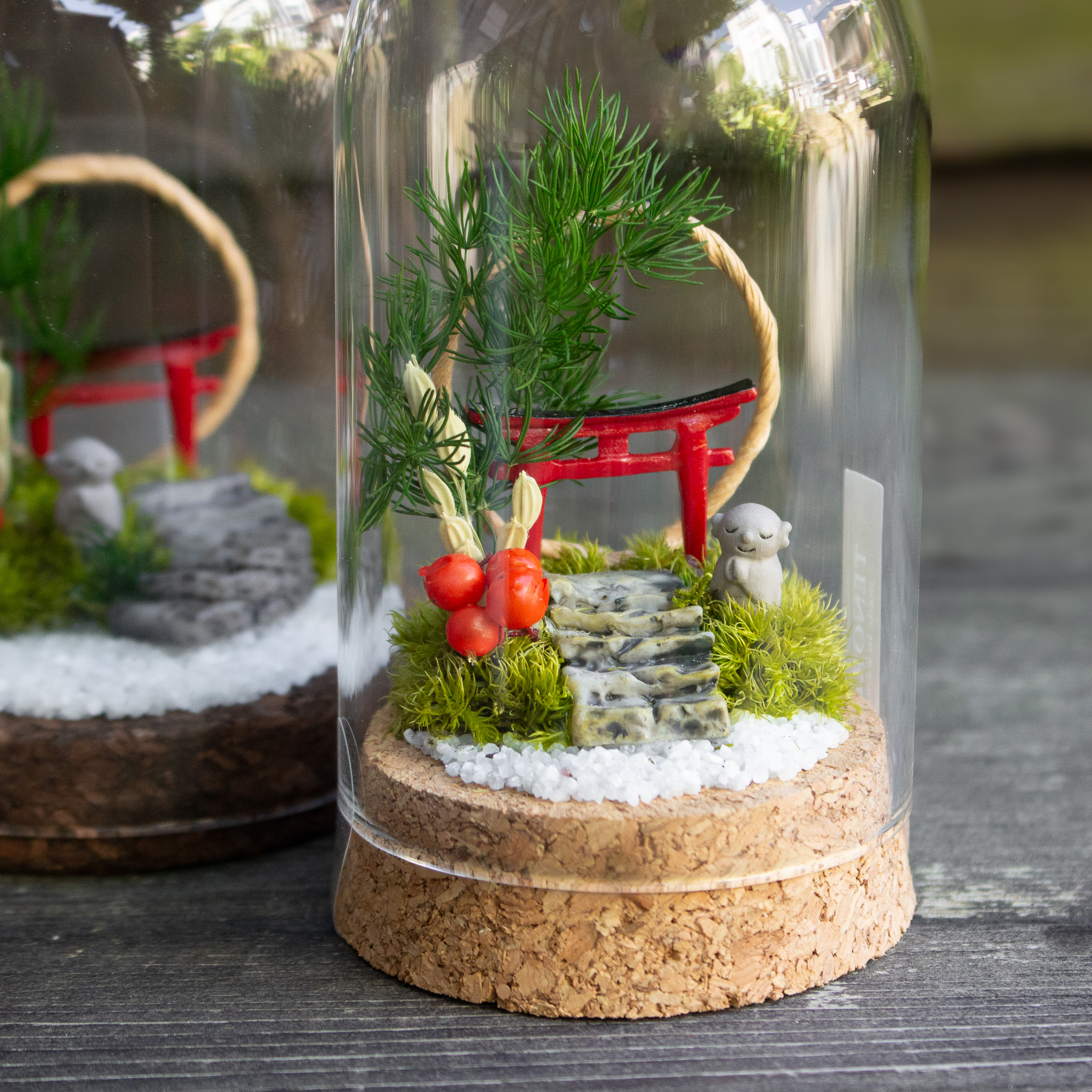 こけむすび 苔を植えるだけの苔テラリウムキット – 苔むすび