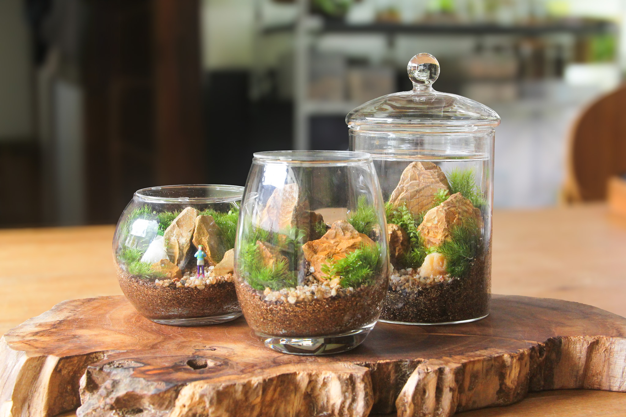 団体様向け出張「苔テラリウム教室」